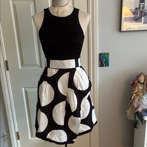 Banana Republic Black and White dress